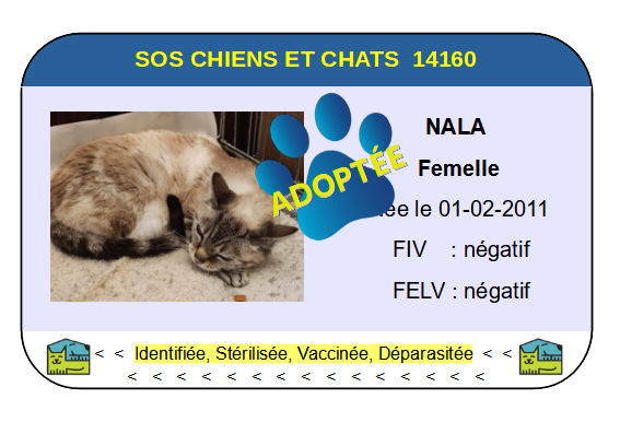 Cia nala 2