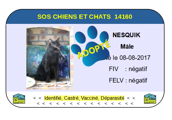 Cia nesquik 1