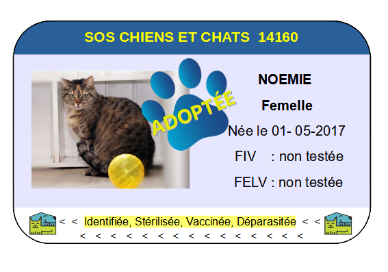 Cia noemie