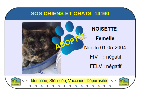 Cia noisette