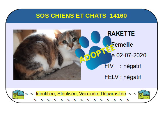 Cia rakette