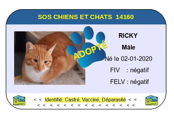 Cia ricky 1