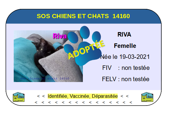 Cia riva