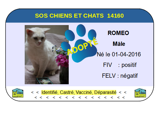 Cia romeo