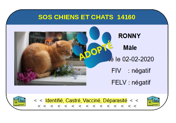 Cia ronny
