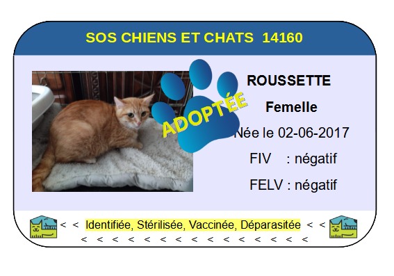 Cia roussette 1