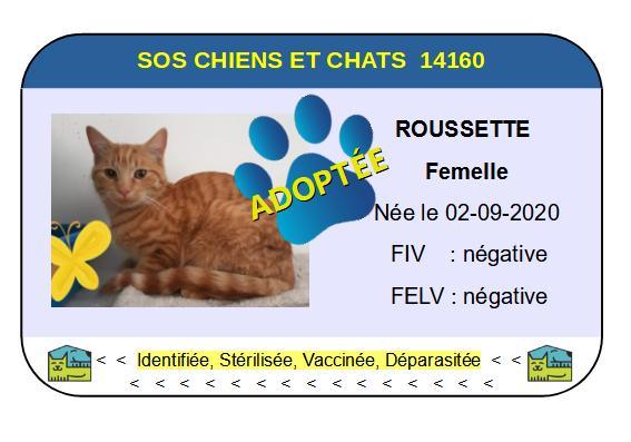 Cia roussette