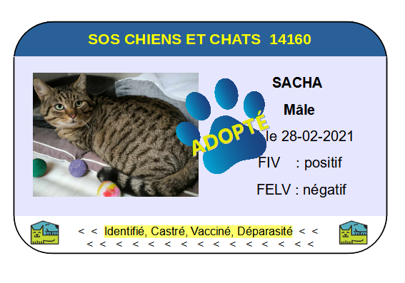 Cia sacha 1