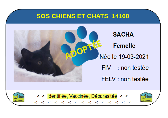 Cia sacha