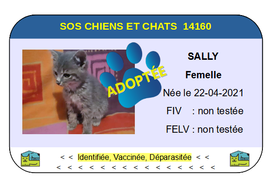 Cia sally