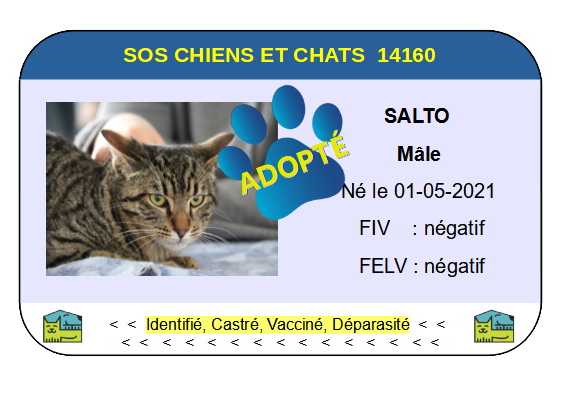 Cia salto 1