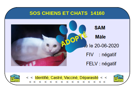 Cia sam