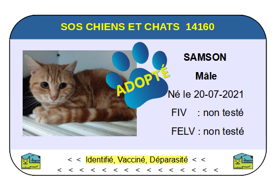 Cia samson png