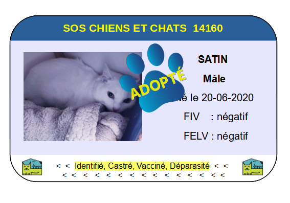 Cia satin