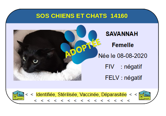 Cia savannah
