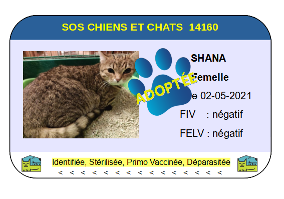 Cia shana