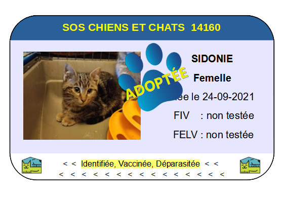 Cia sidonie