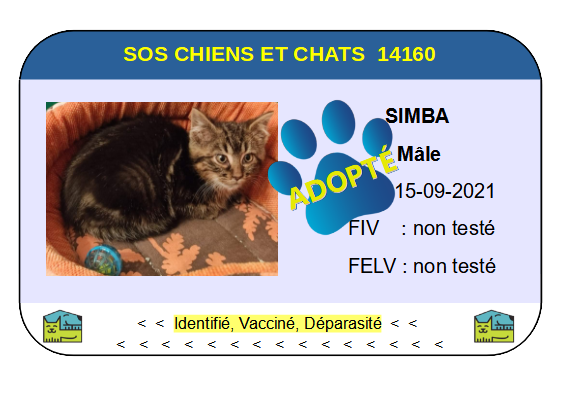Cia simba