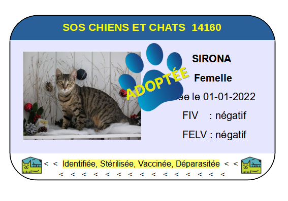 Cia sirona
