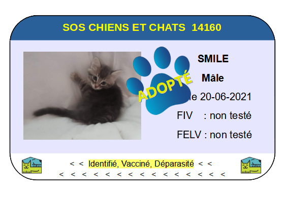 Cia smile