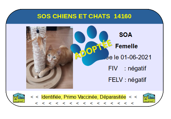 Cia soa 1