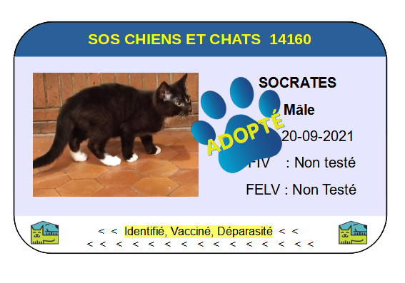 Cia socrates