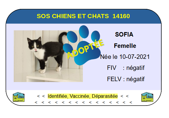 Cia sofia png