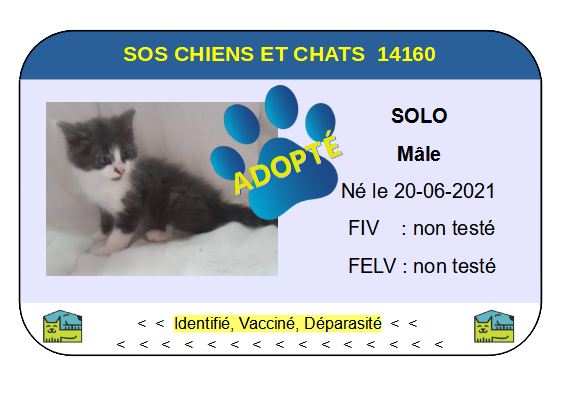 Cia solo 1