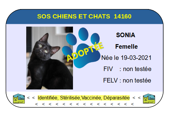 Cia sonia