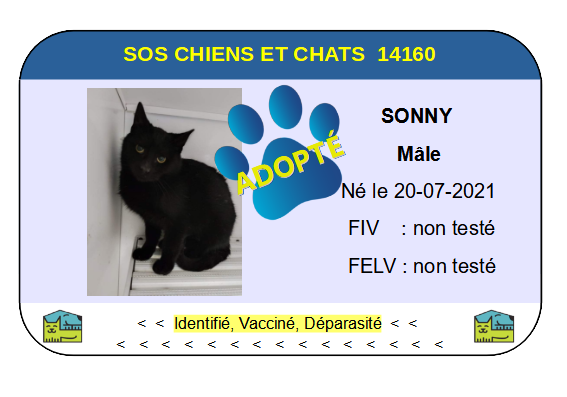Cia sonny