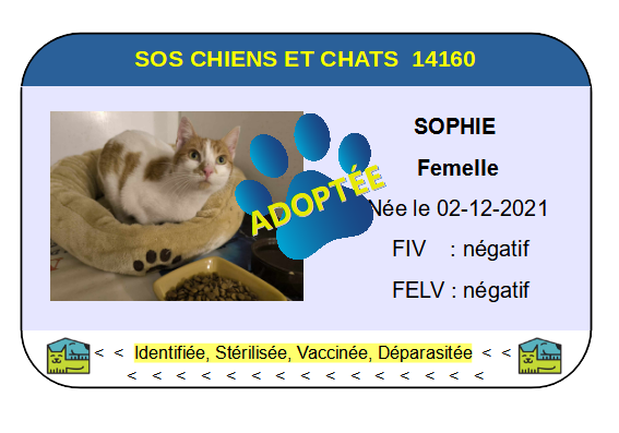 Cia sophie 1
