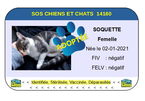 Cia soquette