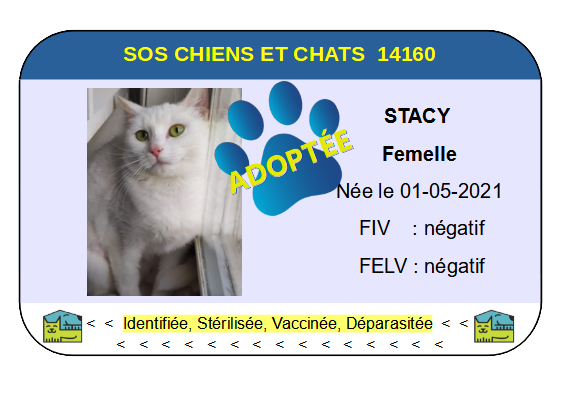 Cia stacy