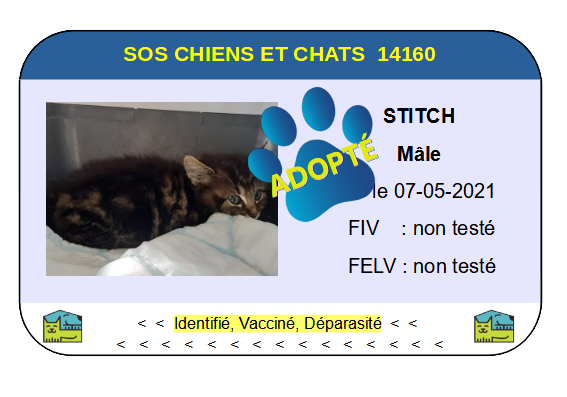 Cia stitch