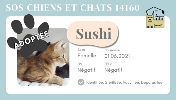 Cia sushi