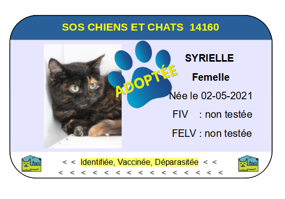 Cia syrielle