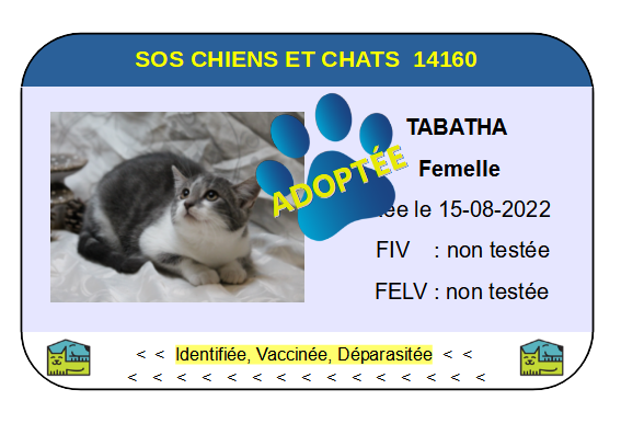 Cia tabatha