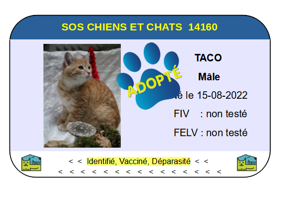 Cia taco
