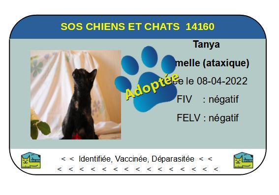 Cia tanya