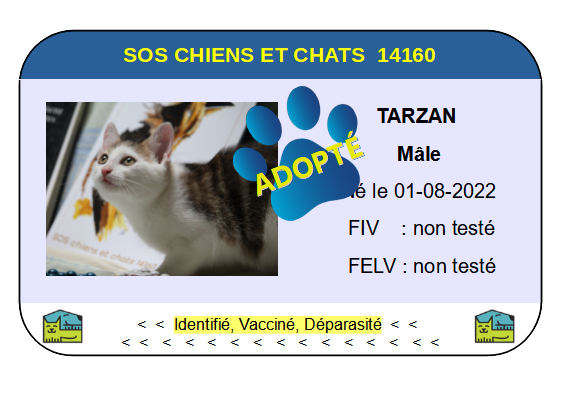 Cia tarzan 1