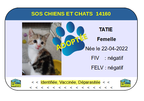 Cia tatie