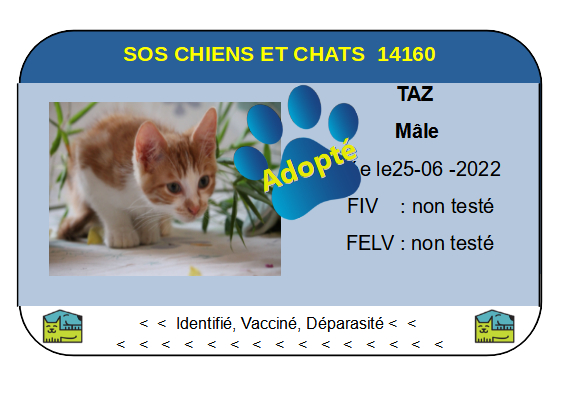 Cia taz png