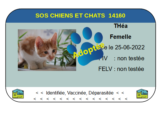 Cia thea png