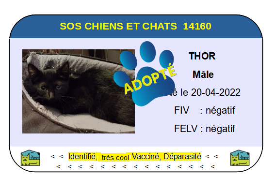 Cia thor 1