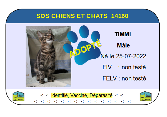 Cia timmi