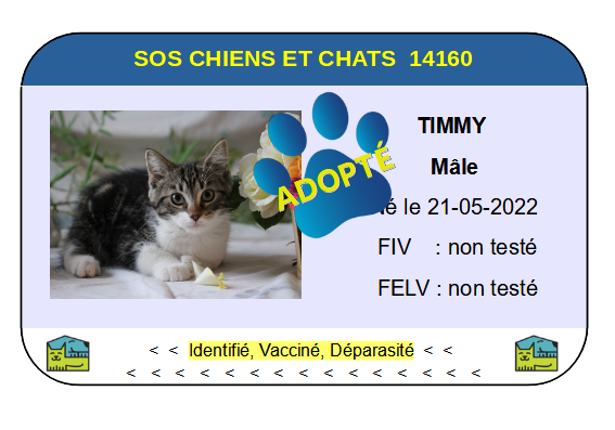 Cia timmy
