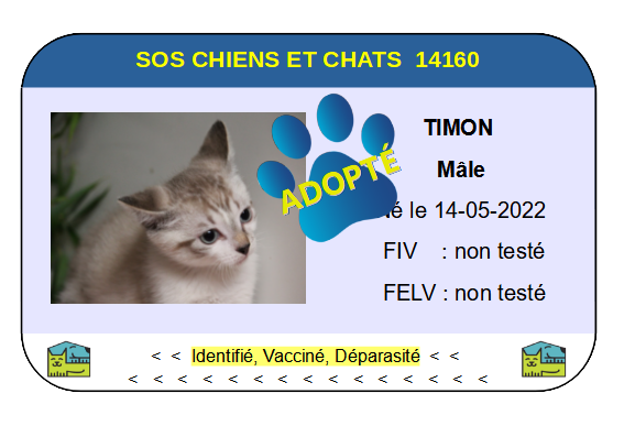 Cia timon