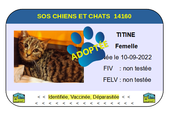 Cia titine