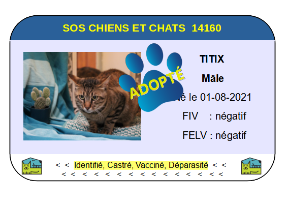 Cia titix
