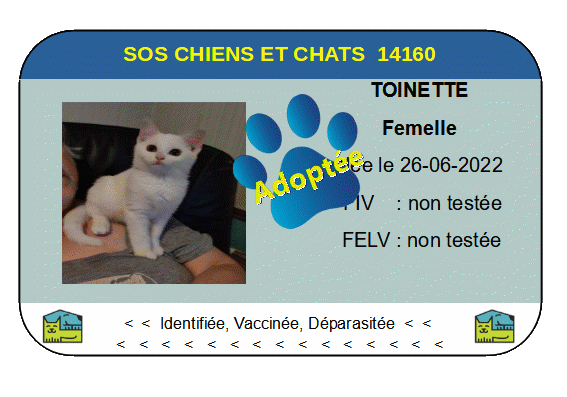 Cia toinette png